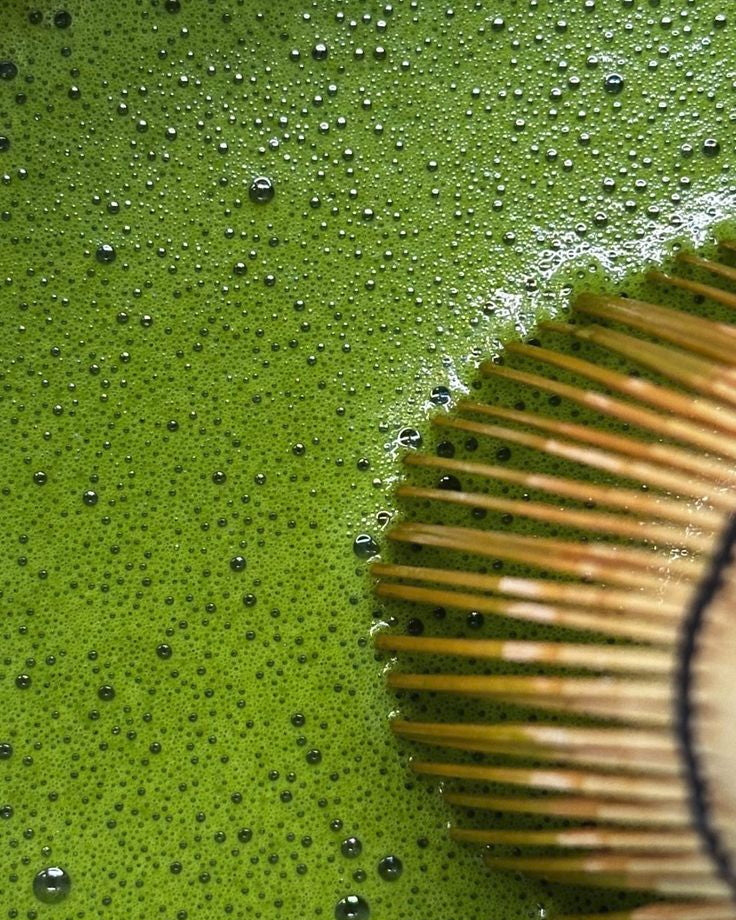 The Matcha Guide